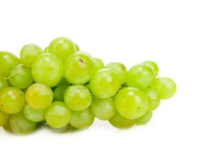 White grapes