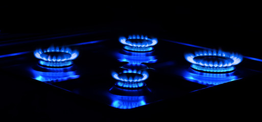 gas hobs