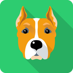 dog Amstaff icon flat design