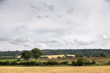 Obraz premium courtside of essex