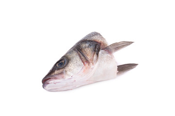 Close up of fish's head.