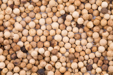 Background of the white pepper.
