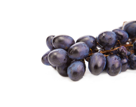 Bunch of ripe and juicy black grapes.