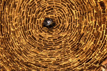 Naklejka premium Runde Mauern