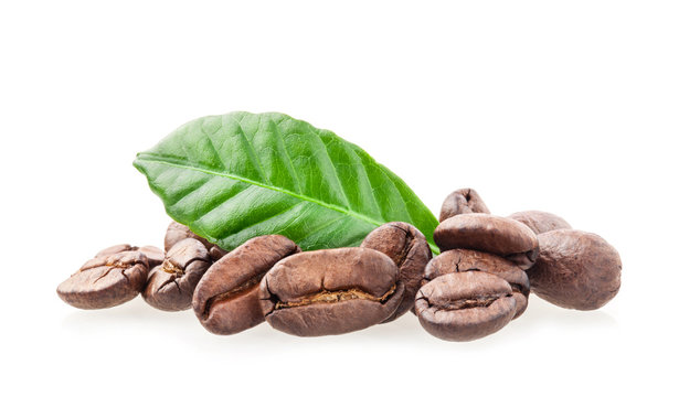 Fototapeta Coffee beans isolated on white background