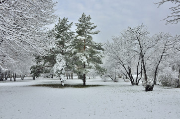 Snowfall in winter Park
