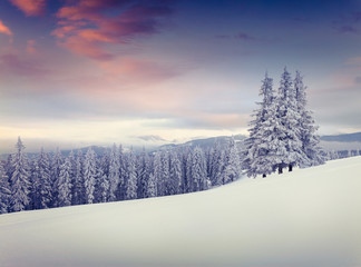 Beautiful winter sunrise in the mountains.