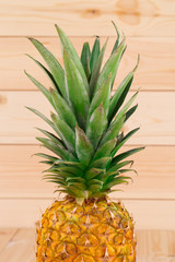 Fresh Pineapple