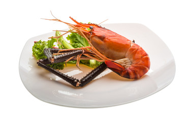 Giant Freshwater Prawn