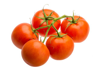 Tomatoes on the branch