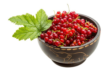Red currant