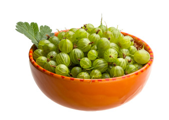Gooseberries