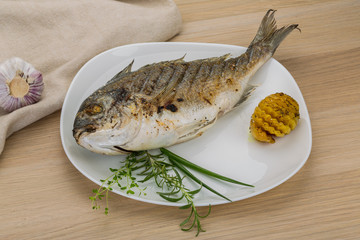 Grilled dorado
