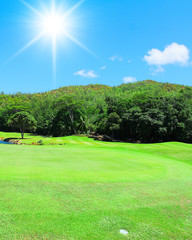 Fototapeta premium Fields Grass