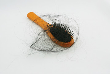 Hair loss and brush