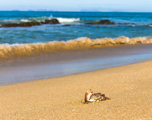 Pure Threat Menacing Eyes