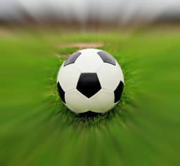 Fototapeta premium Soccer ball