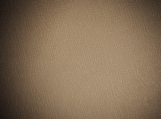 Paper texture - brown paper sheet 