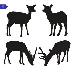 Vector silhouettes of deer