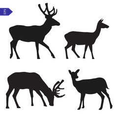 Obraz premium Vector silhouettes of deer