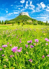 Fototapeta premium Magnifique paysage en Provence à Plan-de-Baix