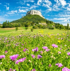 Magnifique paysage en Provence &agrave; Plan-de-Baix