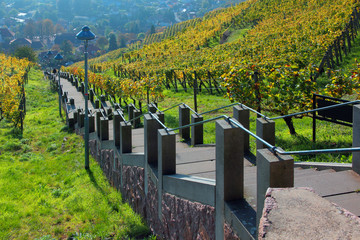 spitzhaustreppe radebeul-1