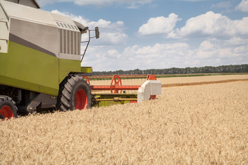 Fototapeta premium Combine working on a wheat field