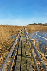 Obraz premium Boardwalk in a lake.