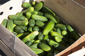 Fruits and Vegatables