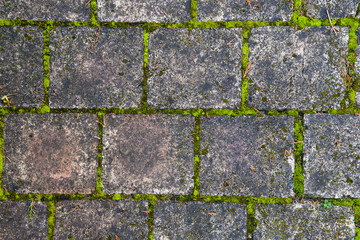 Stone block walk path background