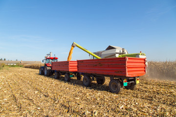 Obraz premium Combine harvesting corn and unloading grains