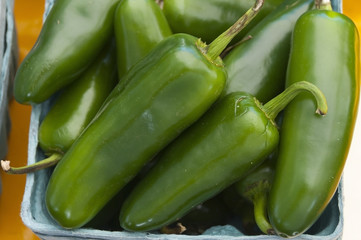 Jalapeno Peppers