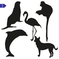 Set of vector silhouettes of animals