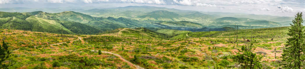 Fototapeta na wymiar Panorama of mountain sheep, Beskydy