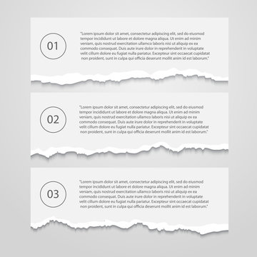 Vector Set of lacerated  sheets with numbers,infographic,banner