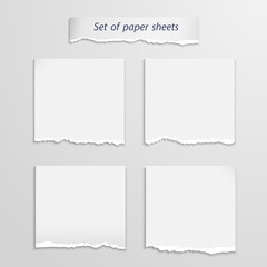 Vector set of   paper sheet over white