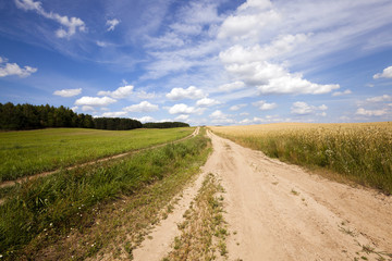 Fototapeta na wymiar the rural road - the small not asphalted road in rural areas