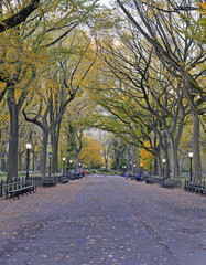 Autumn foliage - Fall colors in Central Park, New York