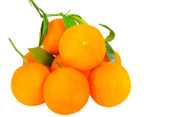 Bioorangen