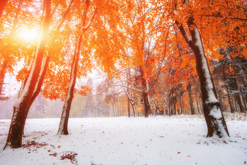 first days of winter