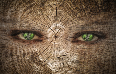 Eyes of Trees
