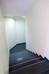 Fototapeta premium ladder