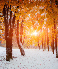 First Snow