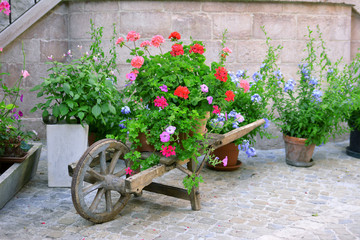 Fototapeta na wymiar Wooden pallet with fresh flowers