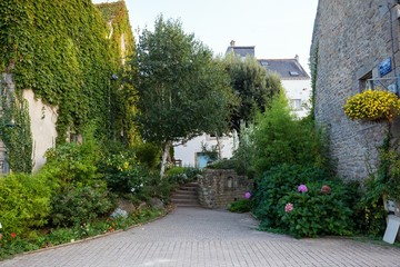 Lush courtyard