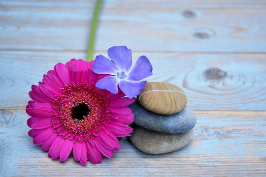 Drie Zen stenen op oud hout met bloemen