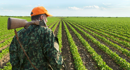 Male hunter looking at field during hunt season