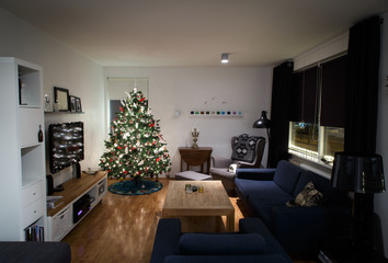 Day before christmas, decorated christmastree in living room
