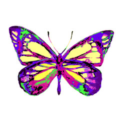 butterflies design